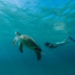 Amanpulo Starting From